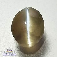 Chrysoberyl Cat's Eye 1.57ct Natural Gemstone