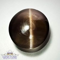 Sillimanite Cat's Eye 14.00ct Natural Gemstone