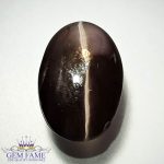 Sillimanite Cat's Eye 12.02ct Rare Gemstone