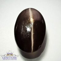 Sillimanite Cat's Eye 12.02ct Rare Gemstone