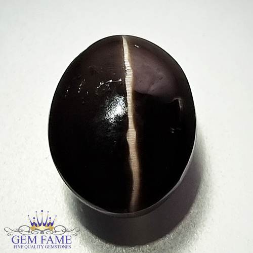 Sillimanite Cat's Eye 8.58ct Rare Gemstone