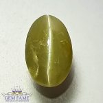 Chrysoberyl Cat's Eye 1.56ct Natural Gemstone