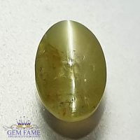 Chrysoberyl Cat's Eye 1.50ct Natural Gemstone