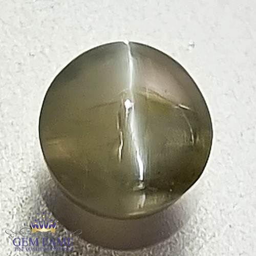 Chrysoberyl Cat's Eye 1.28ct Natural Gemstone