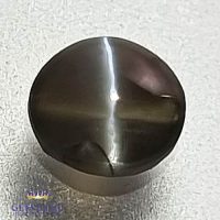Chrysoberyl Cat's Eye 0.81ct Natural Gemstone