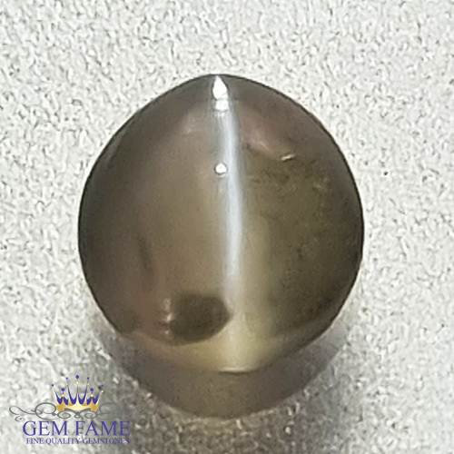 Chrysoberyl Cat's Eye 0.87ct Natural Gemstone