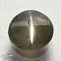 Chrysoberyl Cat's Eye 0.91ct Natural Gemstone