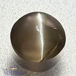 Chrysoberyl Cat's Eye 0.77ct Natural Gemstone