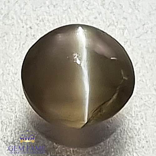 Chrysoberyl Cat's Eye 0.77ct Natural Gemstone