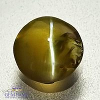 Chrysoberyl Cat's Eye 1.35ct Natural Gemstone