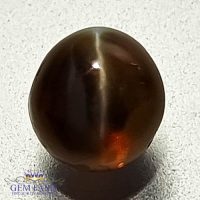 Chrysoberyl Cat's Eye 1.57ct Natural Gemstone