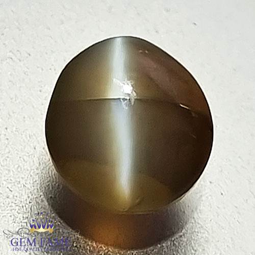 Chrysoberyl Cat's Eye 1.86ct Natural Gemstone
