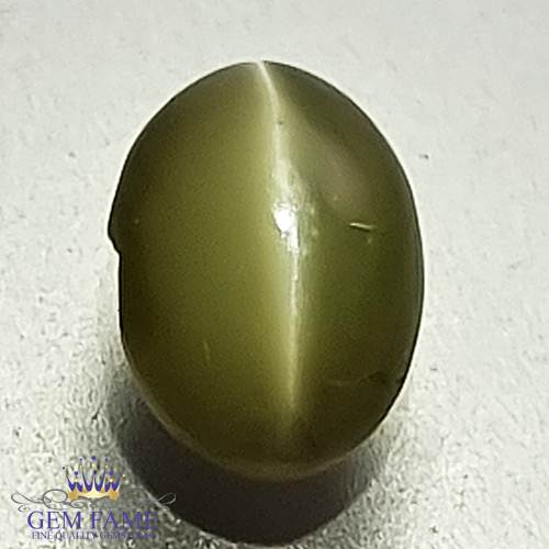 Chrysoberyl Cat's Eye 1.44ct Natural Gemstone