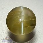 Chrysoberyl Cat's Eye 2.61ct Natural Gemstone