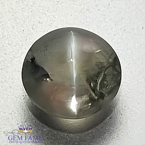 Chrysoberyl Cat's Eye 1.50ct Natural Gemstone