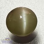 Chrysoberyl Cat's Eye 1.18ct Natural Gemstone