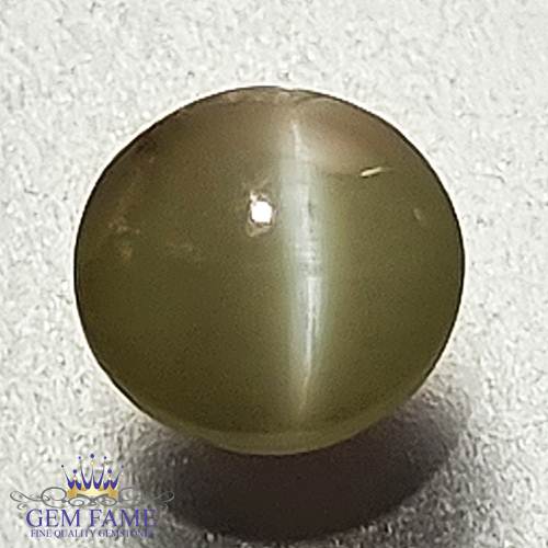 Chrysoberyl Cat's Eye 1.18ct Natural Gemstone