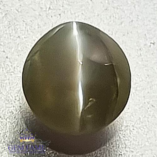 Chrysoberyl Cat's Eye 1.12ct Natural Gemstone