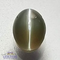 Chrysoberyl Cat's Eye 2.00ct Natural Gemstone