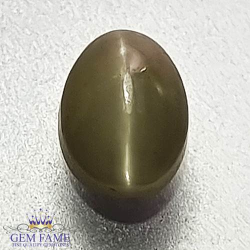 Chrysoberyl Cat's Eye 1.11ct Natural Gemstone