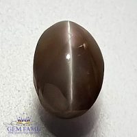 Chrysoberyl Cat's Eye 1.85ct Natural Gemstone