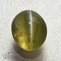 Chrysoberyl Cat's Eye 0.89ct Natural Gemstone