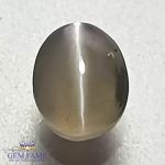 Chrysoberyl Cat's Eye 0.78ct Natural Gemstone