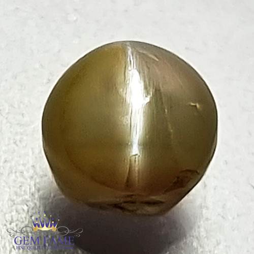 Chrysoberyl Cat's Eye 1.61ct Natural Gemstone