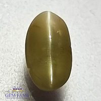 Chrysoberyl Cat's Eye 1.40ct Natural Gemstone