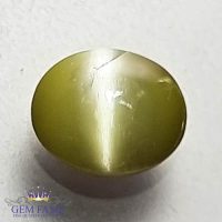 Chrysoberyl Cat's Eye 0.84ct Natural Gemstone