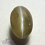 Chrysoberyl Cat's Eye 2.56ct Natural Gemstone