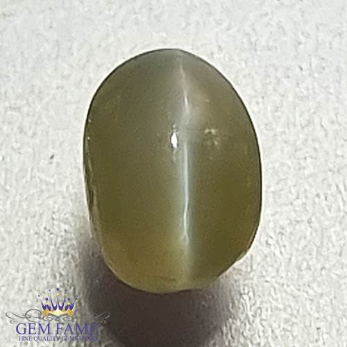 Chrysoberyl Cat's Eye 1.04ct Natural Gemstone