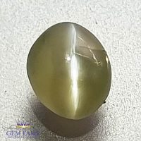 Chrysoberyl Cat's Eye 1.02ct Natural Gemstone