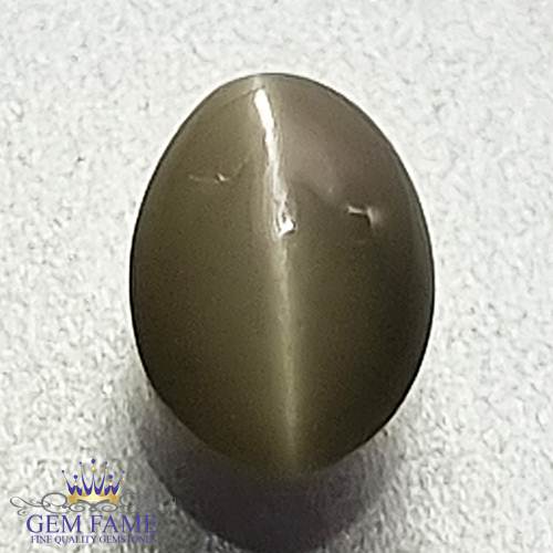 Chrysoberyl Cat's Eye 0.88ct Natural Gemstone