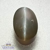 Chrysoberyl Cat's Eye 1.26ct Natural Gemstone