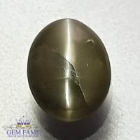 Chrysoberyl Cat's Eye 1.76ct Natural Gemstone