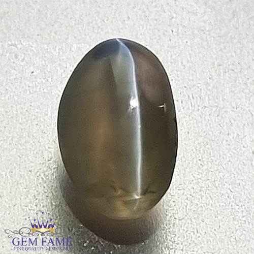 Chrysoberyl Cat's Eye 1.68ct Natural Gemstone