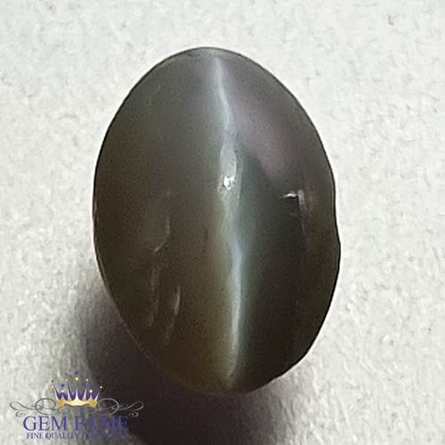 Chrysoberyl Cat's Eye 1.51ct Natural Gemstone