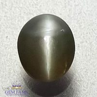 Chrysoberyl Cat's Eye 0.86ct Natural Gemstone