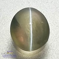 Chrysoberyl Cat's Eye 0.78ct Natural Gemstone