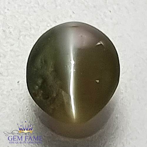 Chrysoberyl Cat's Eye 0.77ct Natural Gemstone