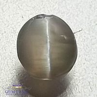 Chrysoberyl Cat's Eye 1.18ct Natural Gemstone
