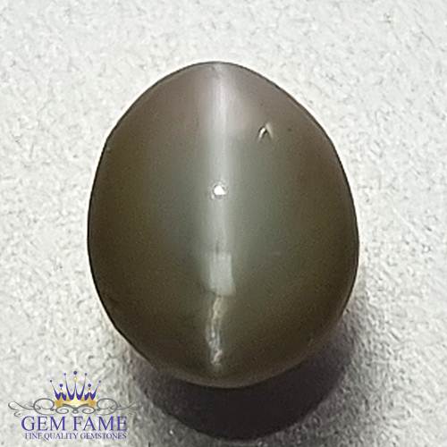 Chrysoberyl Cat's Eye 1.12ct Natural Gemstone