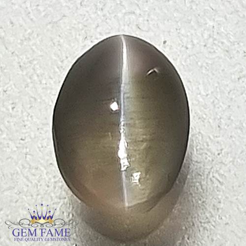 Chrysoberyl Cat's Eye 0.86ct Natural Gemstone