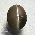 Chrysoberyl Cat's Eye 0.82ct Natural Gemstone India