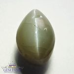 Chrysoberyl Cat's Eye 7.97ct Natural Gemstone