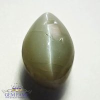 Chrysoberyl Cat's Eye 7.97ct Natural Gemstone