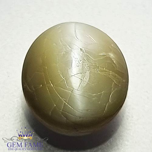 Chrysoberyl Cat's Eye 4.98ct Natural Gemstone