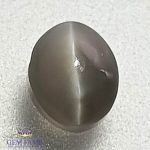 Chrysoberyl Cat's Eye 0.58ct Natural Gemstone