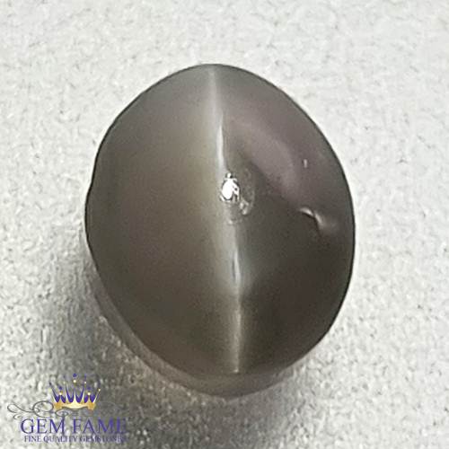 Chrysoberyl Cat's Eye 0.58ct Natural Gemstone